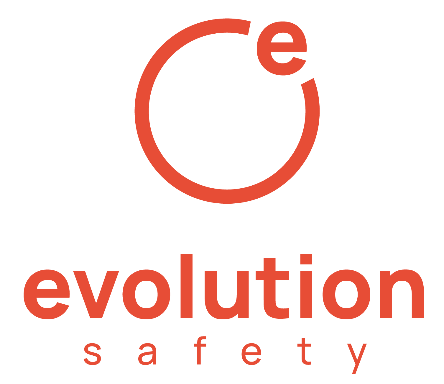 VICK COMPANIES_Evolution Safety